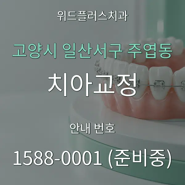고양시 일산서구 주엽동 치아교정 대표 안내 그래픽