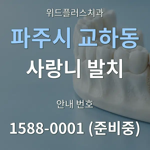 파주시 교하동 사랑니 발치 대표 안내 그래픽