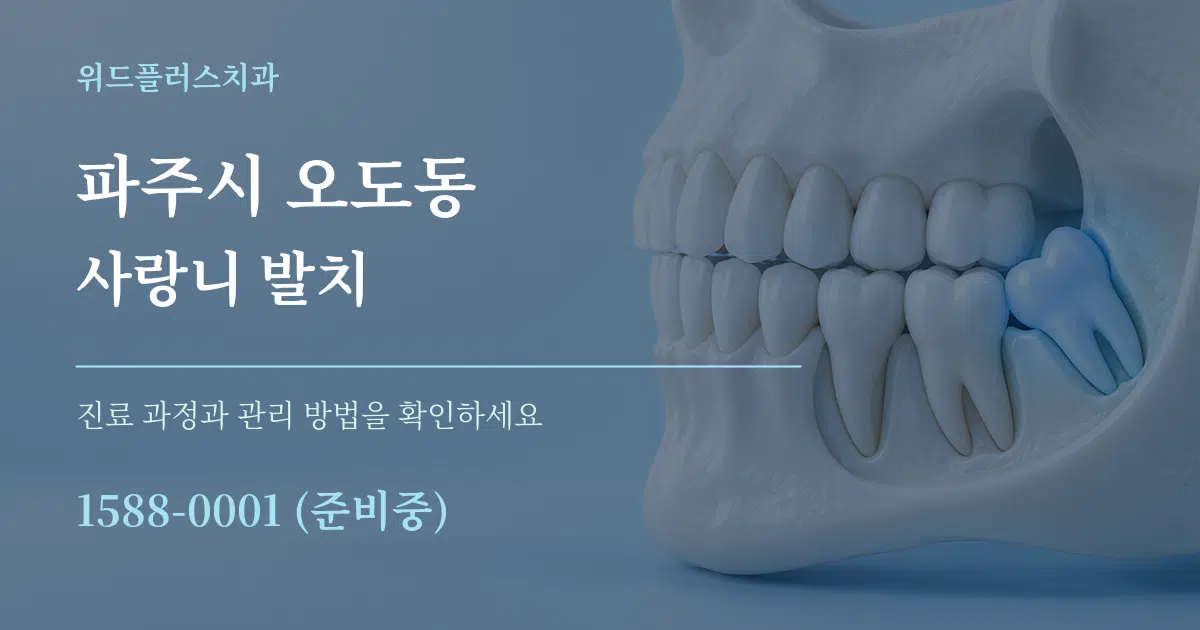 파주시 오도동 사랑니 발치 작업 조건 안내 그래픽