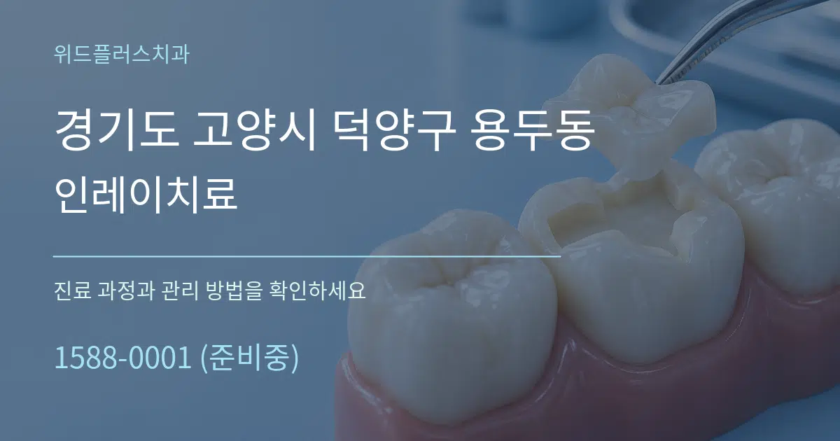 경기도 고양시 덕양구 용두동 인레이치료 서비스 이용 안내 그래픽