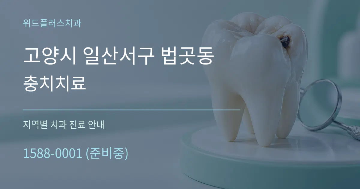 고양시 일산서구 법곳동 충치치료 대표 안내 그래픽
