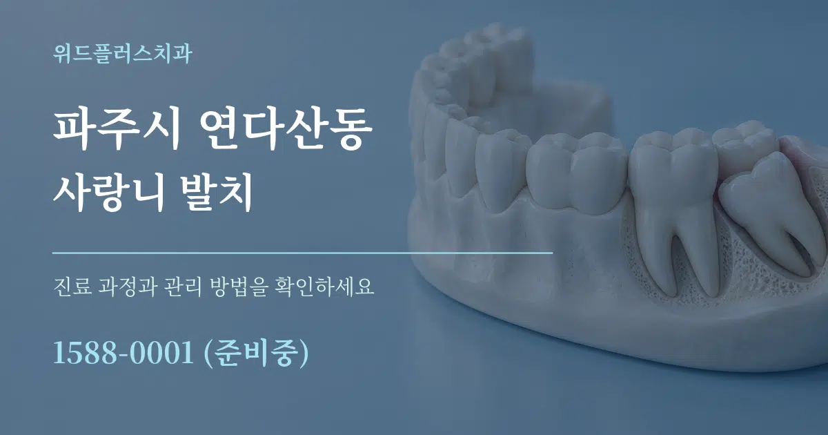 파주시 연다산동 사랑니 발치 작업 조건 안내 그래픽