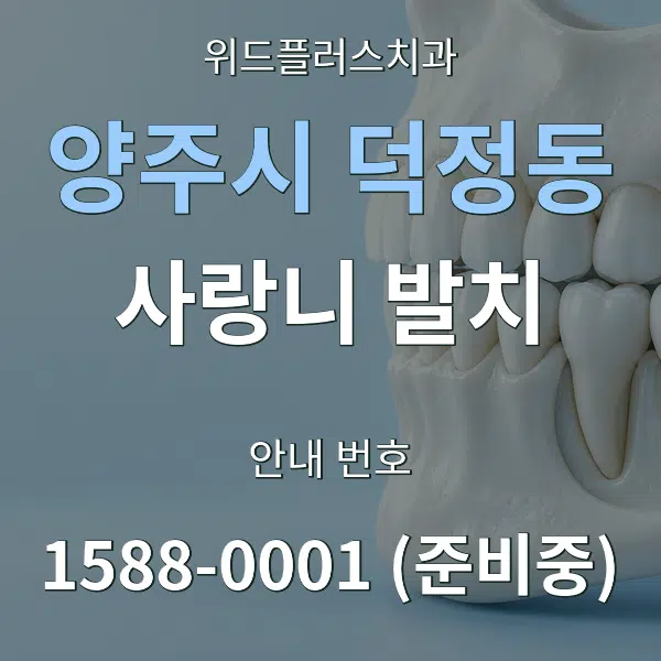 양주시 덕정동 사랑니 발치 대표 안내 그래픽