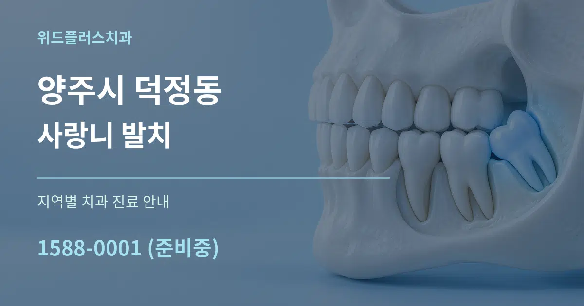 양주시 덕정동 사랑니 발치 대표 안내 그래픽