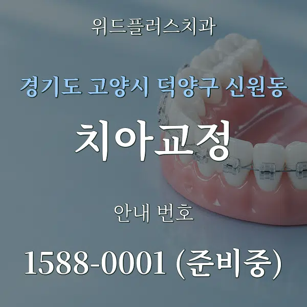 경기도 고양시 덕양구 신원동 치아교정 대표 안내 그래픽