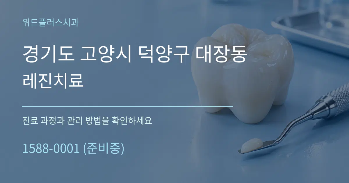 경기도 고양시 덕양구 대장동 레진치료 서비스 이용 안내 그래픽