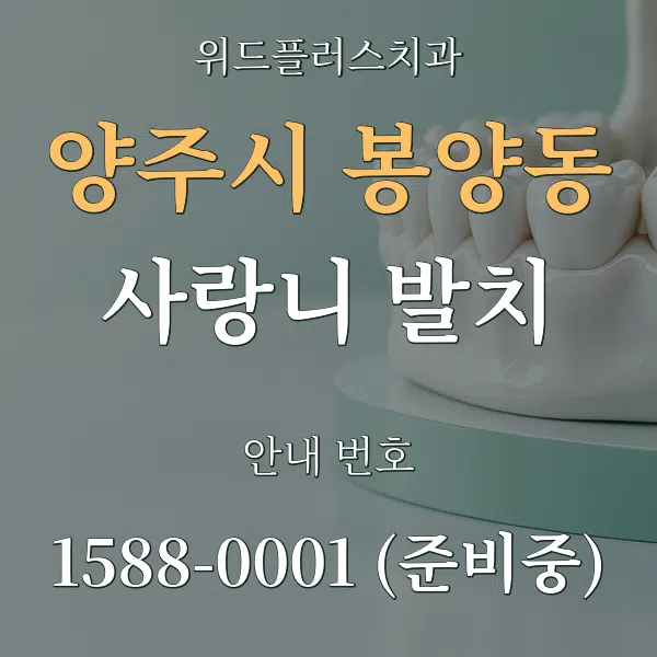 양주시 봉양동 사랑니 발치 대표 안내 그래픽