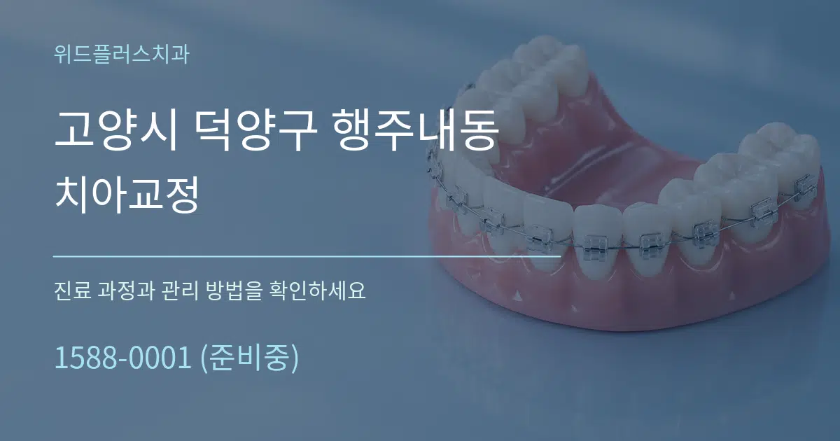 고양시 덕양구 행주내동 치아교정 서비스 이용 안내 그래픽