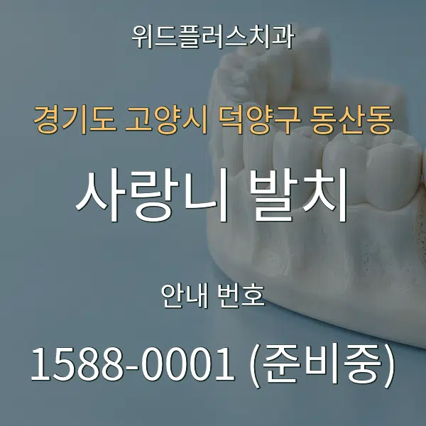 경기도 고양시 덕양구 동산동 사랑니 발치 대표 안내 그래픽