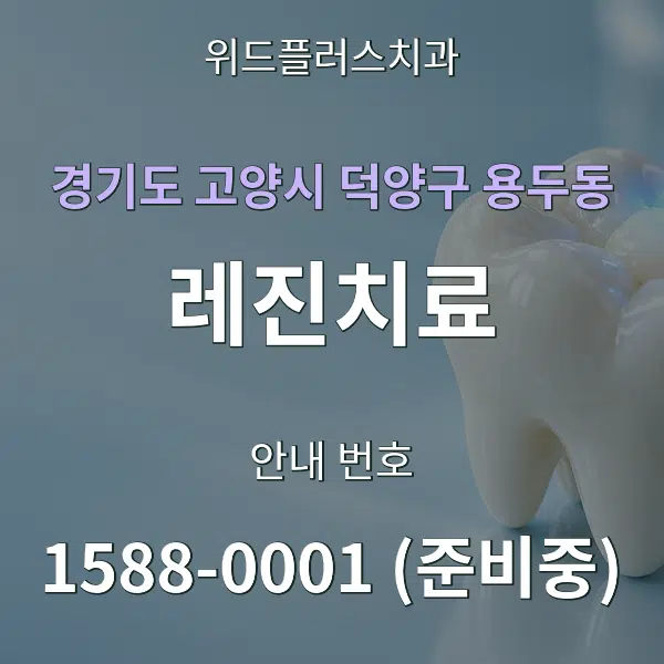 경기도 고양시 덕양구 용두동 레진치료 대표 안내 그래픽