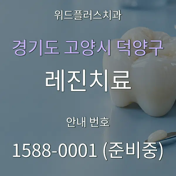 경기도 고양시 덕양구 레진치료 대표 안내 그래픽