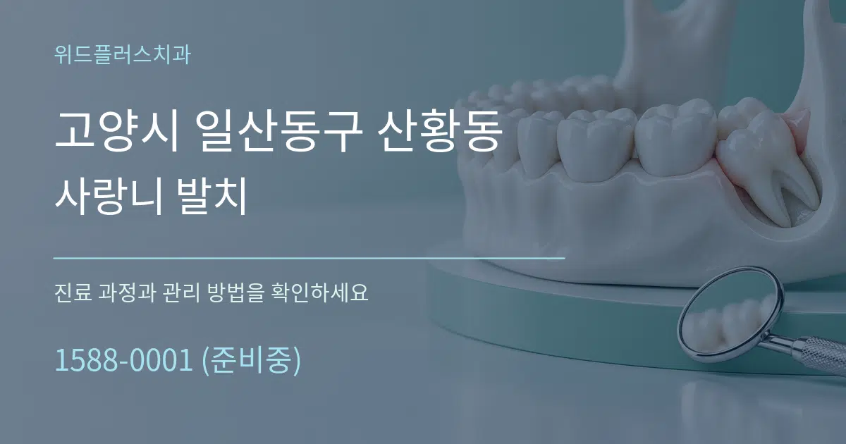고양시 일산동구 산황동 사랑니 발치 작업 조건 안내 그래픽