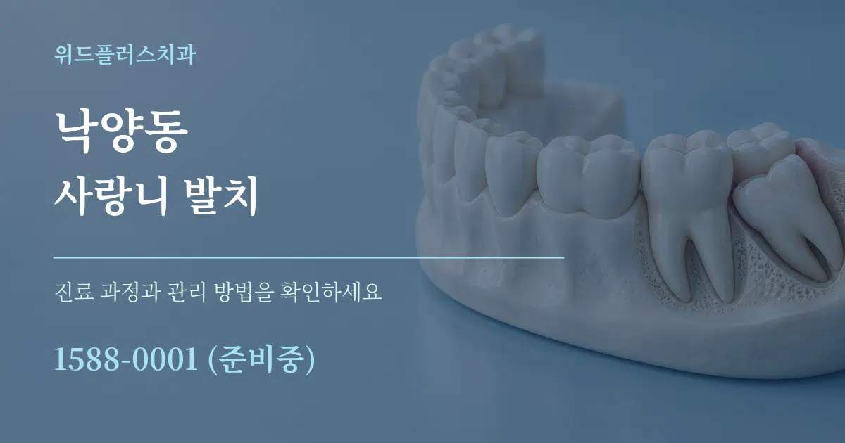 낙양동 사랑니 발치 작업 조건 안내 그래픽