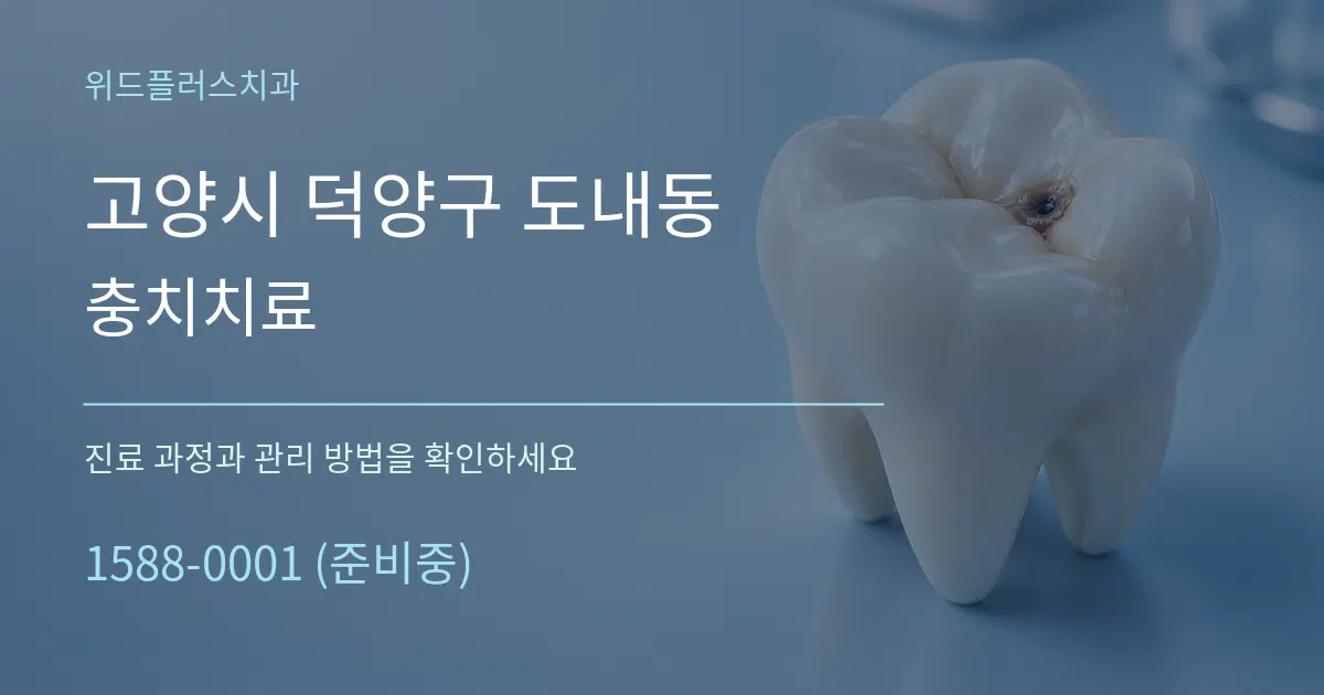 고양시 덕양구 도내동 충치치료 작업 조건 안내 그래픽