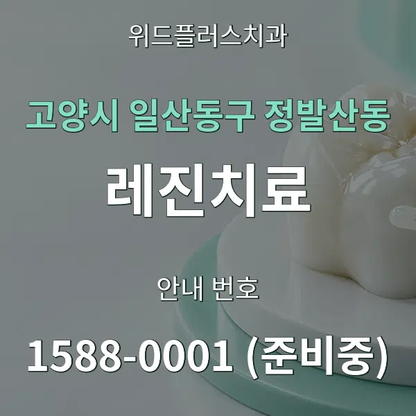 고양시 일산동구 정발산동 레진치료 대표 안내 그래픽