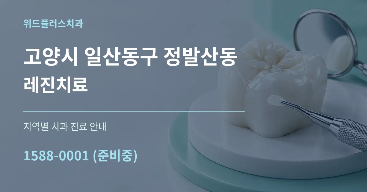고양시 일산동구 정발산동 레진치료 대표 안내 그래픽