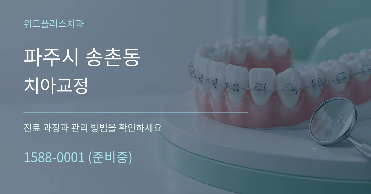파주시 송촌동 치아교정 서비스 이용 안내 그래픽
