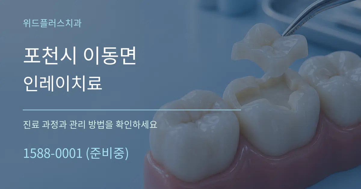포천시 이동면 인레이치료 서비스 이용 안내 그래픽