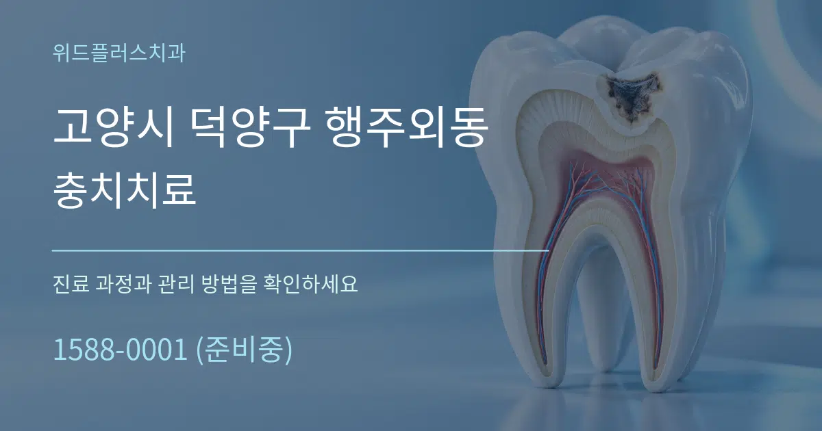 고양시 덕양구 행주외동 충치치료 서비스 이용 안내 그래픽