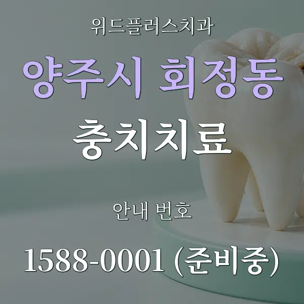 양주시 회정동 충치치료 대표 안내 그래픽