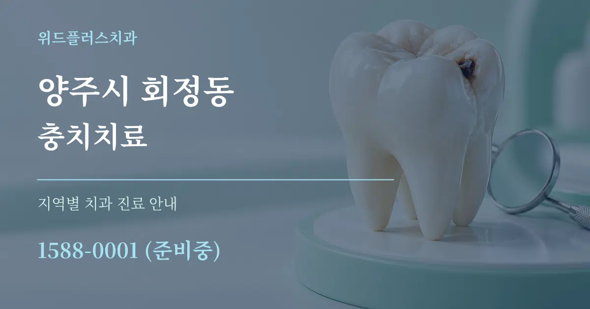 양주시 회정동 충치치료 대표 안내 그래픽