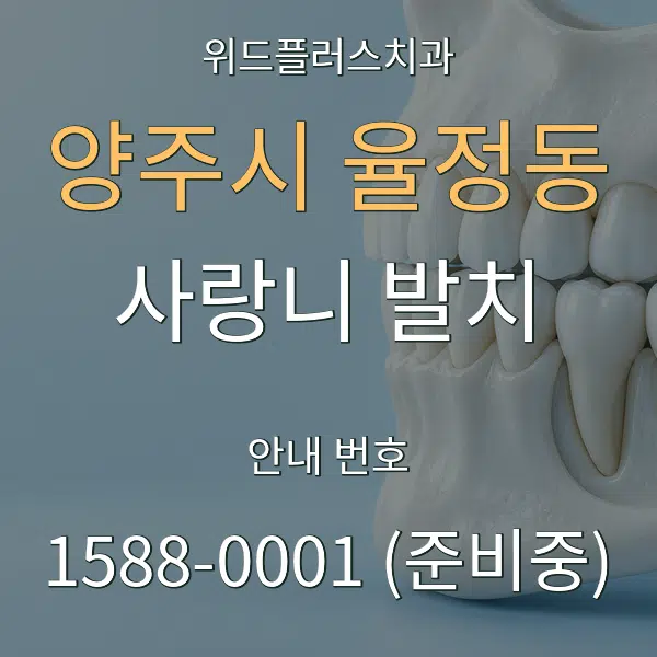 양주시 율정동 사랑니 발치 대표 안내 그래픽