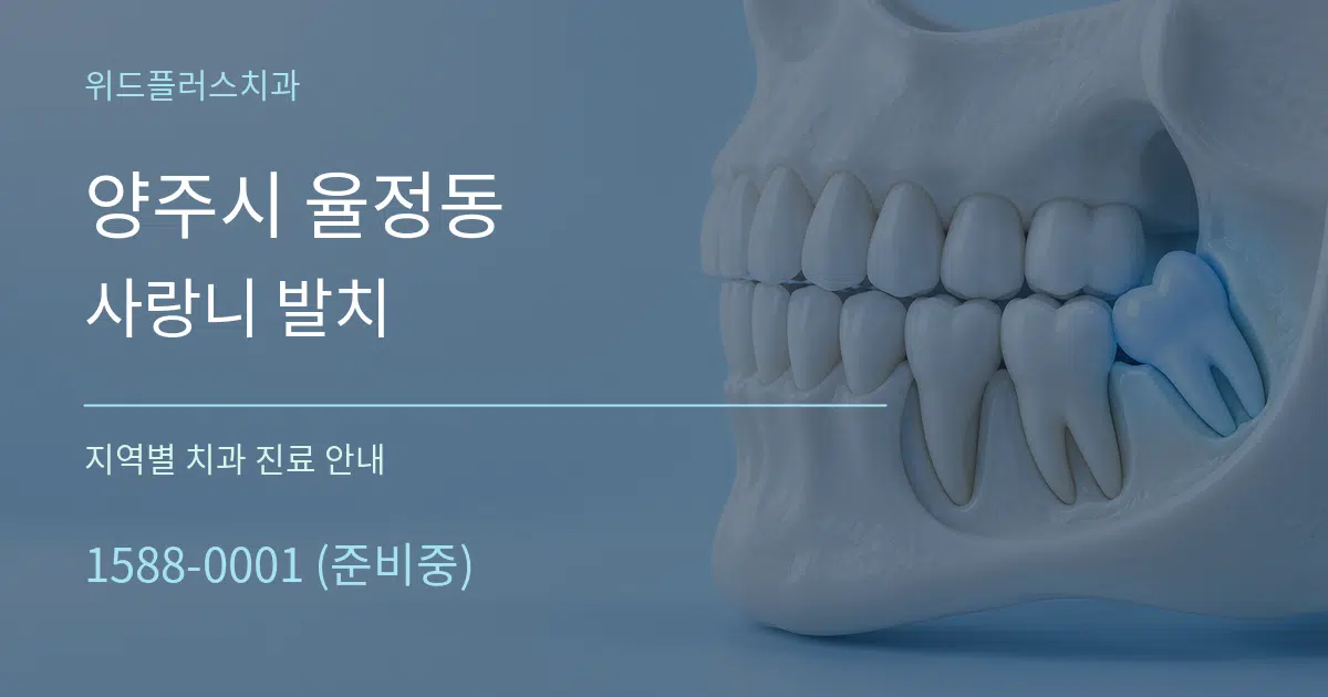 양주시 율정동 사랑니 발치 대표 안내 그래픽