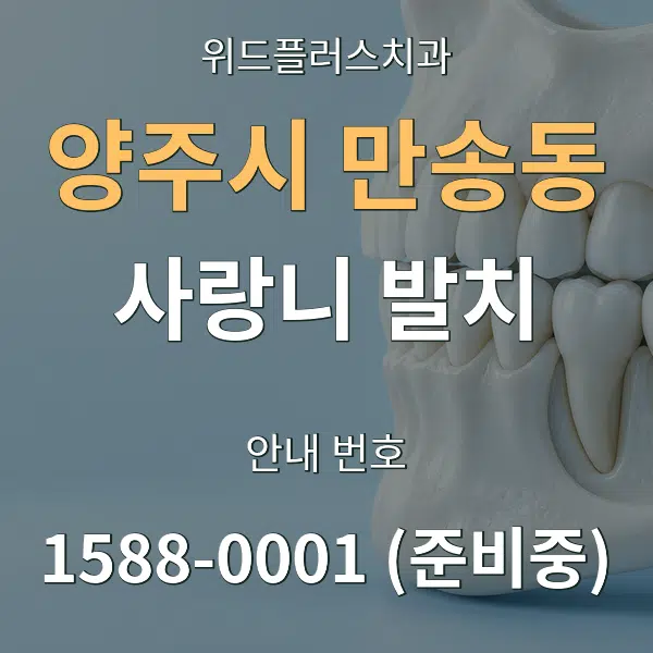 양주시 만송동 사랑니 발치 대표 안내 그래픽