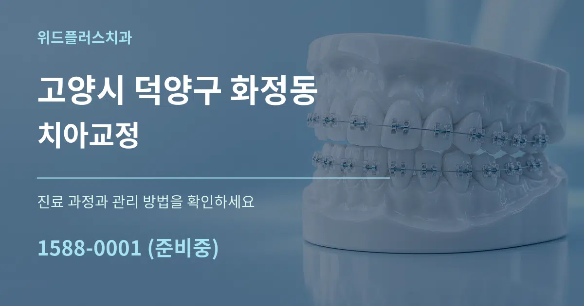 고양시 덕양구 화정동 치아교정 서비스 이용 안내 그래픽