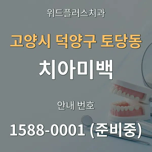 고양시 덕양구 토당동 치아미백 대표 안내 그래픽