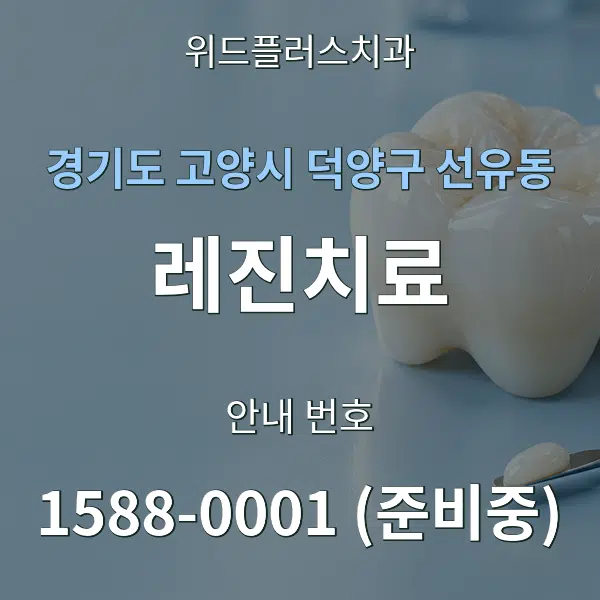 경기도 고양시 덕양구 선유동 레진치료 대표 안내 그래픽