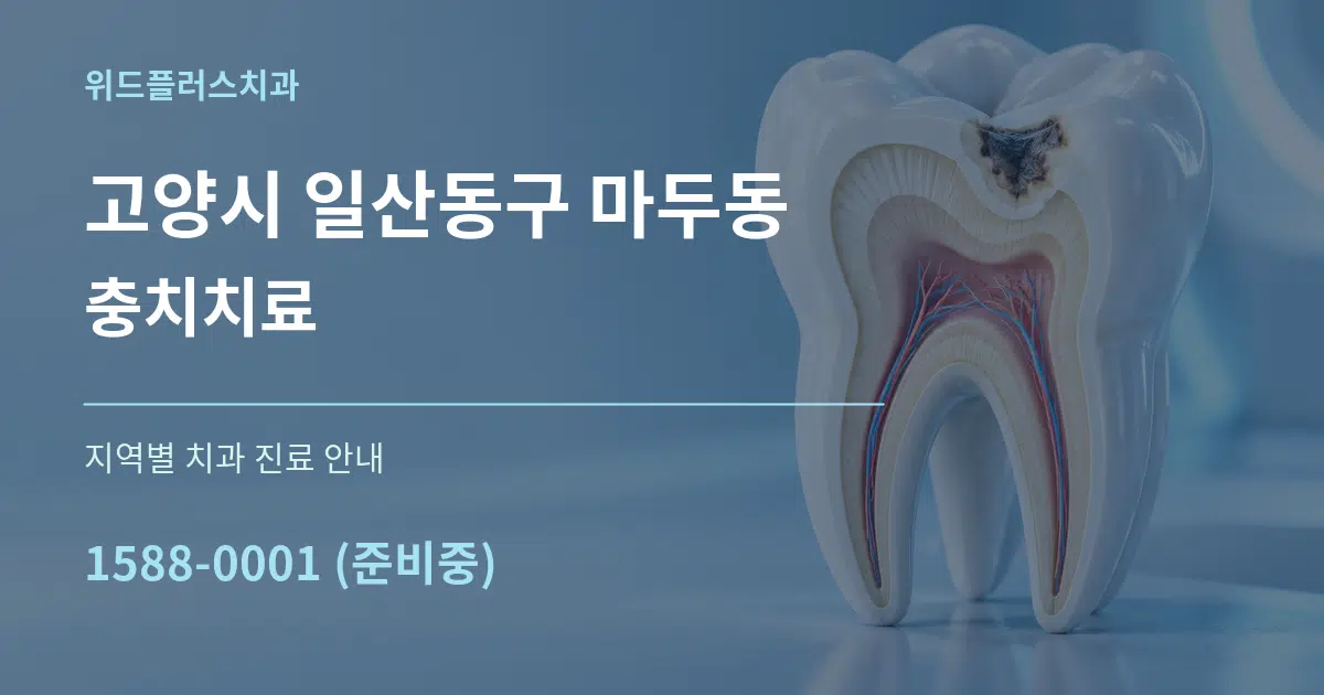 고양시 일산동구 마두동 충치치료 대표 안내 그래픽