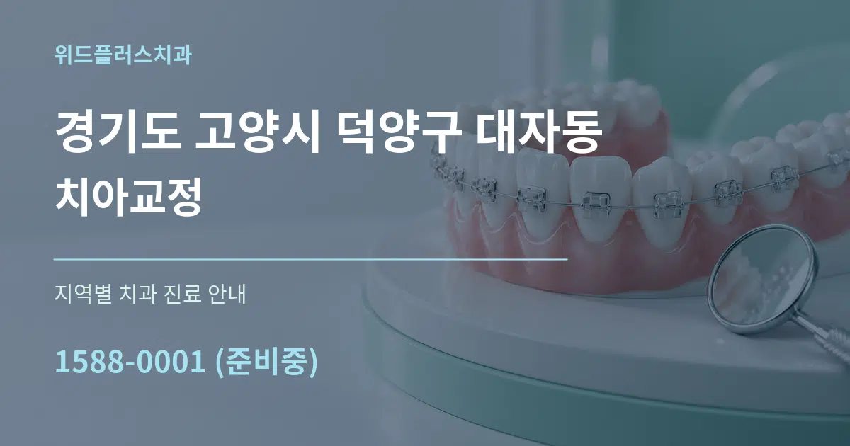 경기도 고양시 덕양구 대자동 치아교정 대표 안내 그래픽