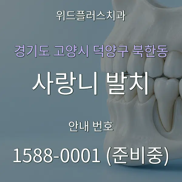 경기도 고양시 덕양구 북한동 사랑니 발치 대표 안내 그래픽