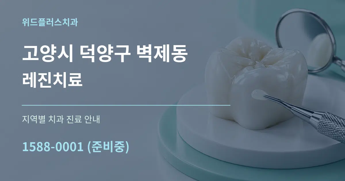 고양시 덕양구 벽제동 레진치료 대표 안내 그래픽