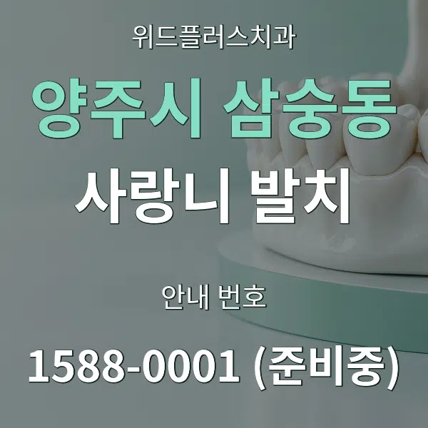양주시 삼숭동 사랑니 발치 대표 안내 그래픽