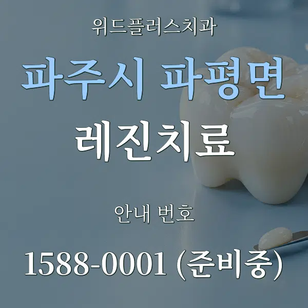 파주시 파평면 레진치료 대표 안내 그래픽