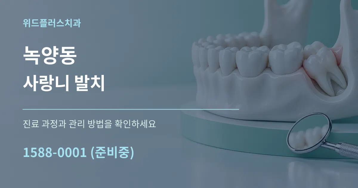 녹양동 사랑니 발치 서비스 이용 안내 그래픽