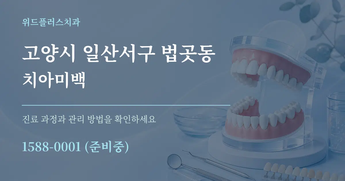 고양시 일산서구 법곳동 치아미백 서비스 이용 안내 그래픽