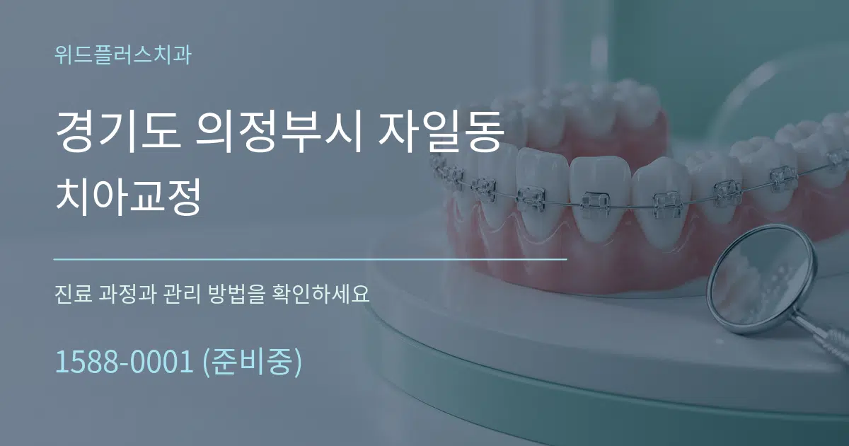 경기도 의정부시 자일동 치아교정 서비스 이용 안내 그래픽