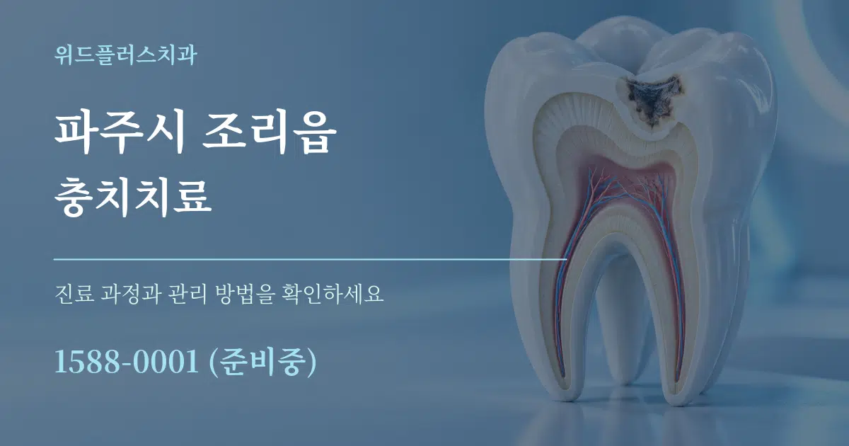 파주시 조리읍 충치치료 서비스 이용 안내 그래픽
