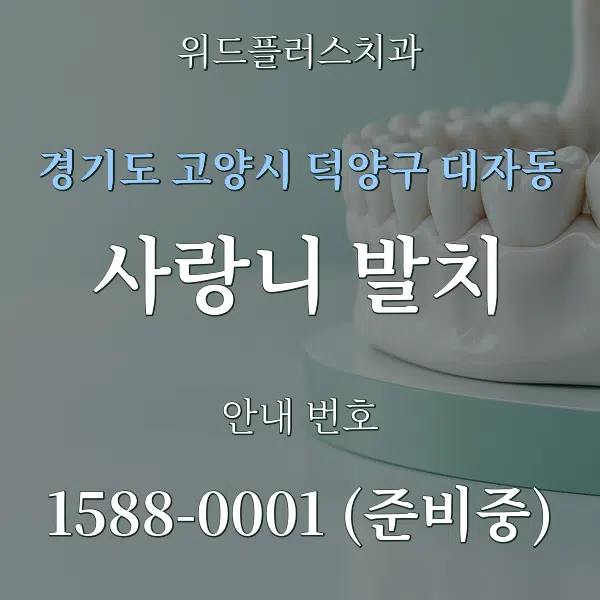 경기도 고양시 덕양구 대자동 사랑니 발치 대표 안내 그래픽