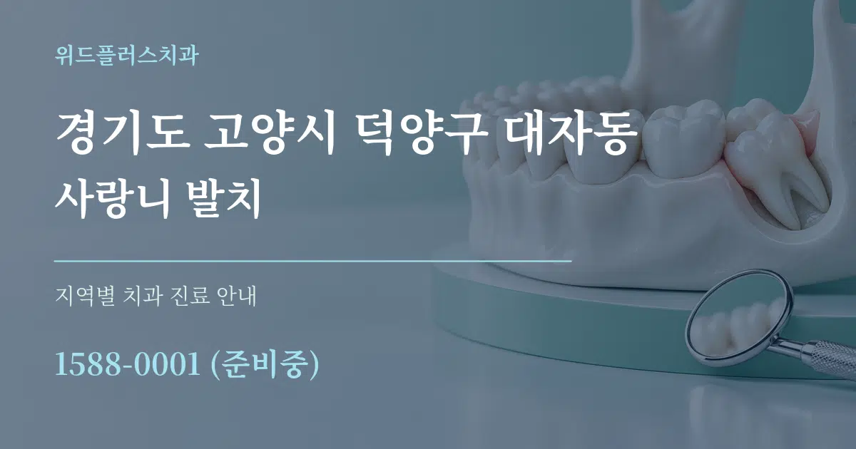 경기도 고양시 덕양구 대자동 사랑니 발치 대표 안내 그래픽