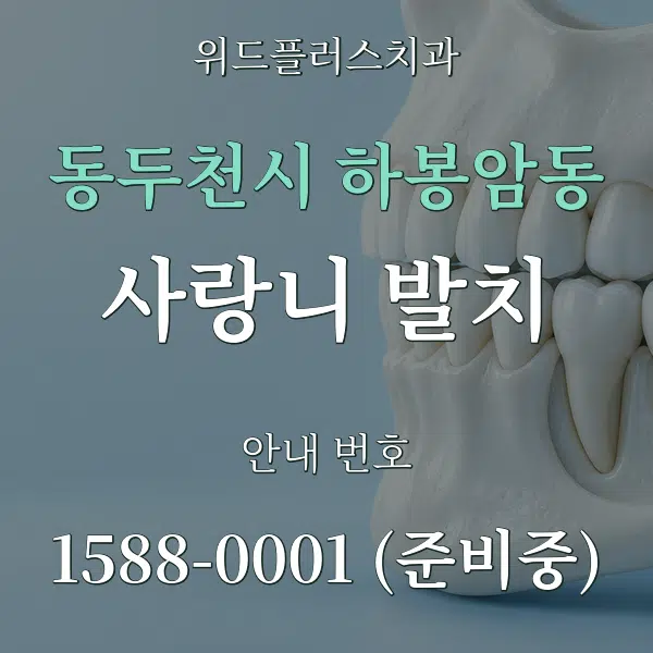 동두천시 하봉암동 사랑니 발치 대표 안내 그래픽