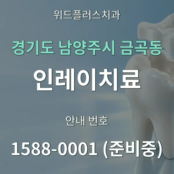 경기도 남양주시 금곡동 인레이치료 대표 안내 그래픽