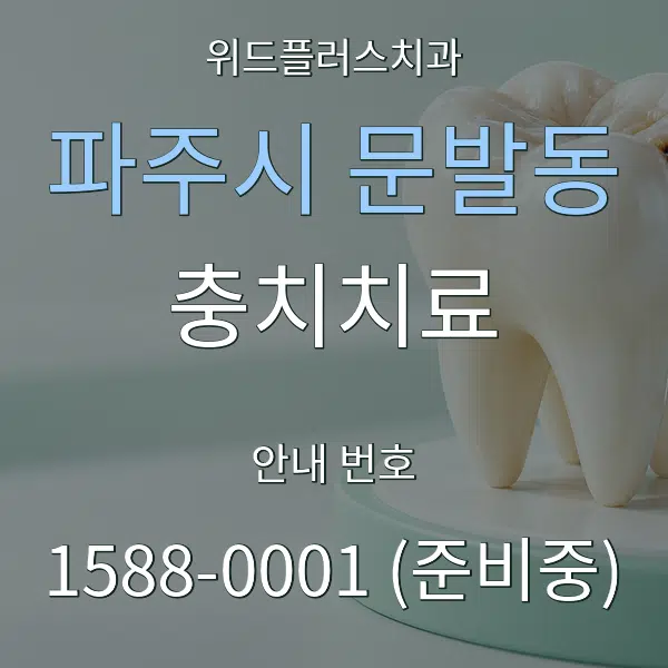 파주시 문발동 충치치료 대표 안내 그래픽