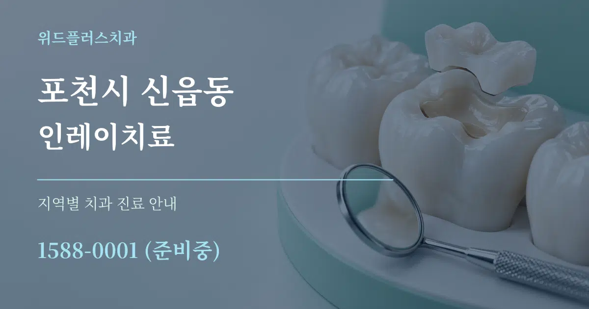 포천시 신읍동 인레이치료 대표 안내 그래픽