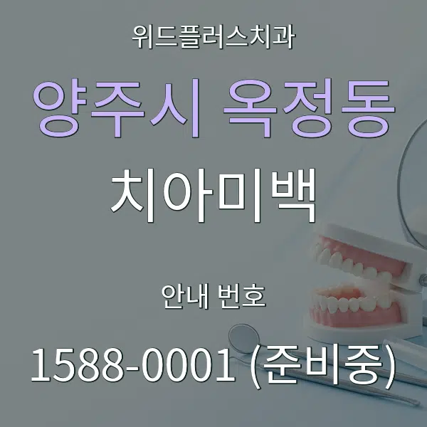 양주시 옥정동 치아미백 대표 안내 그래픽