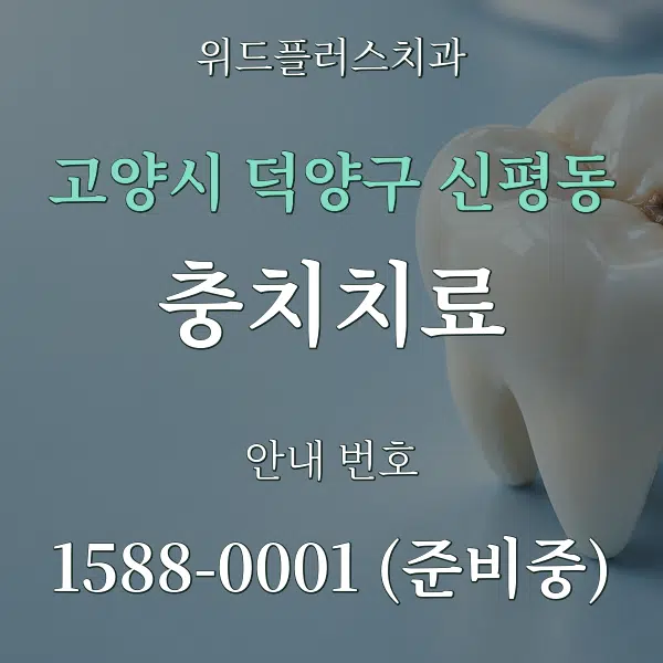 고양시 덕양구 신평동 충치치료 대표 안내 그래픽