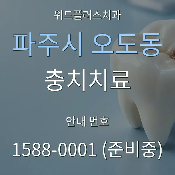 파주시 오도동 충치치료 대표 안내 그래픽